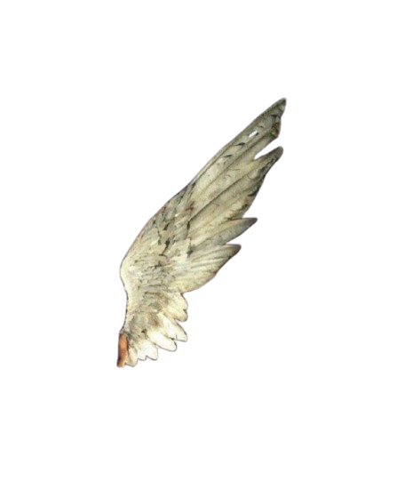 vintageangelwing Emoji