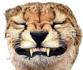 CheetahSmile Emoji