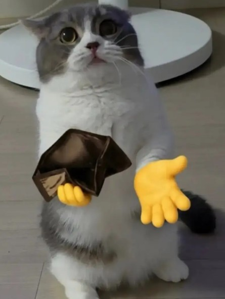poor_cat Emoji