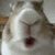 bunny_chew Emoji