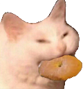 CatCookie Emoji