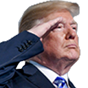 Trump_salute Emoji