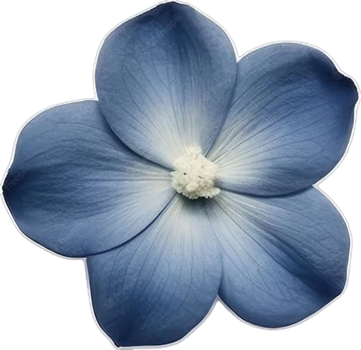 Blue_flower Emoji
