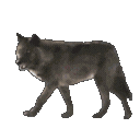 realisticwolfwalk Emoji