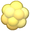 pollenpuff Emoji