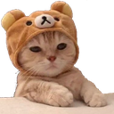 kitten_with_bear_hat Emoji