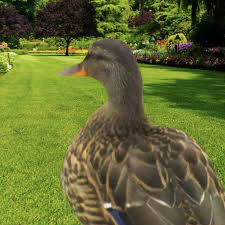 chillduck Emoji