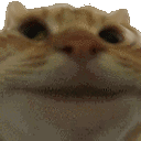 yes Emoji