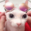 binguswag Discord Emoji