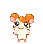 hamtarobubble Emoji