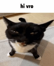 hivro Emoji