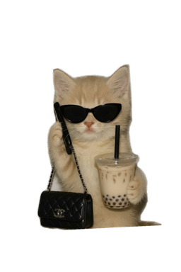 Richcat Emoji