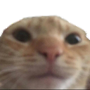 deaf Discord Emoji