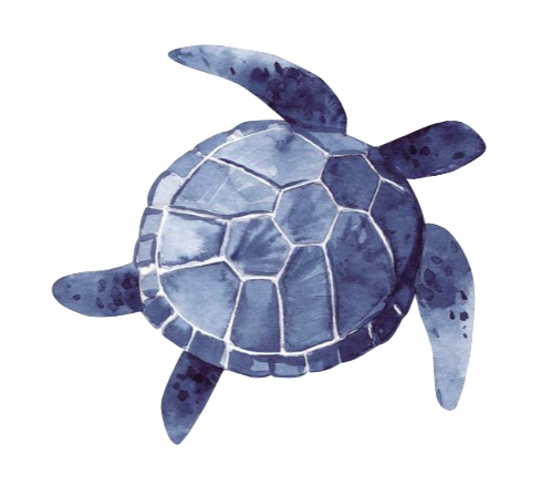 blueturtle Emoji