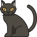blackcat Emoji
