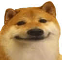 Shiba Emoji