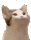 Cat Emoji