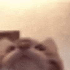 Cat_Licks_Mouth Emoji