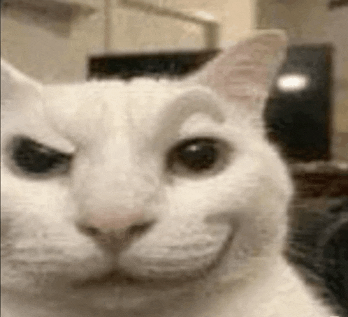 Catsmirk Emoji