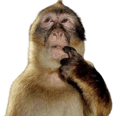 monkeythink Emoji