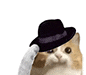 CatFedora Emoji