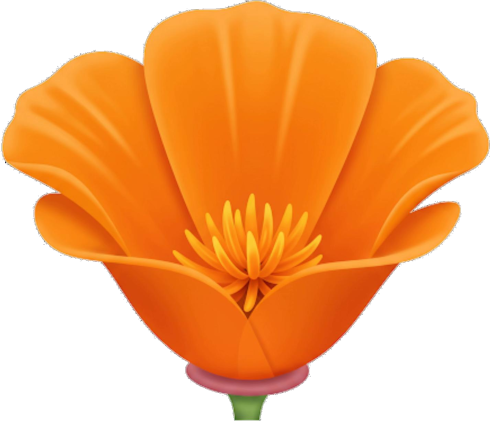 CaliforniaPoppy Emoji