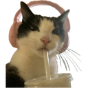catsippingdrink Emoji