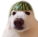 dog_dua Emoji
