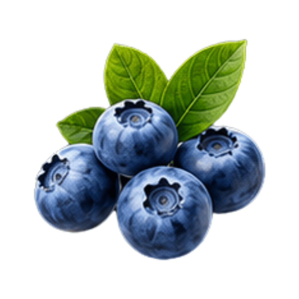 ingre_blueberries Emoji