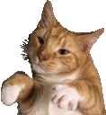 dance Discord Emoji