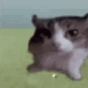 funnycat Emoji
