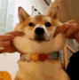 Chienshiba Emoji