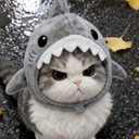 AngySharkKitty Emoji