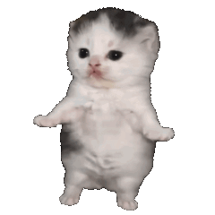 kitty_wiggle Emoji