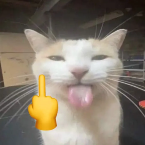 cat_lewfuc Emoji