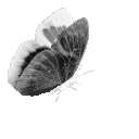 gothicbutterfly Emoji