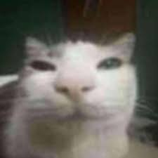 sillycat Emoji