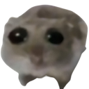 Hamster_sad Emoji