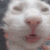 bugga Discord Emoji