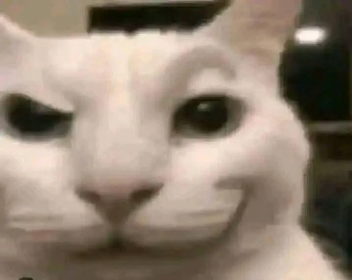 smirk_cat Emoji