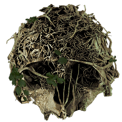 forest Emoji