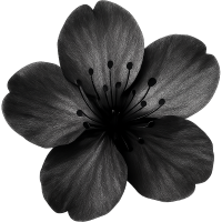 Blacksakuraflower Emoji