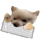 DogKeyboard Emoji