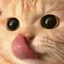 CatLust Emoji