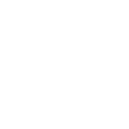 FLY Emoji