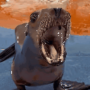SeaLion Emoji