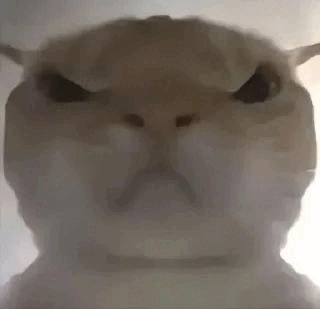 Angycat Emoji