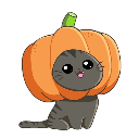 pumpkinkitty Emoji