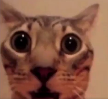 scared_fella_2 Emoji