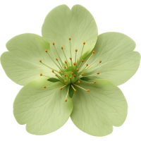 Greensakuraflower Emoji